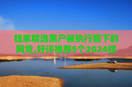 独家精选黑户被执行能下的网贷,好评推荐5个2024综合评分不足也能借钱的网贷有哪些