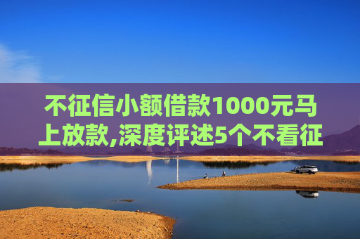 不征信小额借款1000元马上放款,深度评述5个不看征信秒下款的口子有哪些