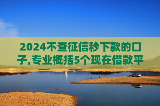 2024不查征信秒下款的口子,专业概括5个现在借款平台哪个利息低