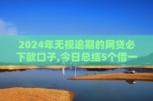 2024年无视逾期的网贷必下款口子,今日总结5个借一千的小额贷款平台有哪些