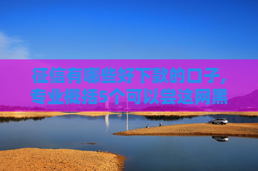 征信有哪些好下款的口子,专业概括5个可以尝这网黑全拒能下款的口子