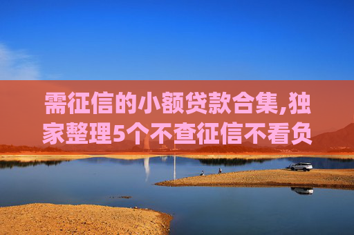 需征信的小额贷款合集,独家整理5个不查征信不看负债的贷款app  第1张