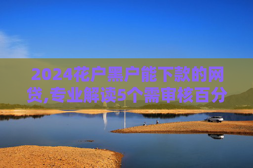 2024花户黑户能下款的网贷,专业解读5个需审核百分百下款的贷款  第1张