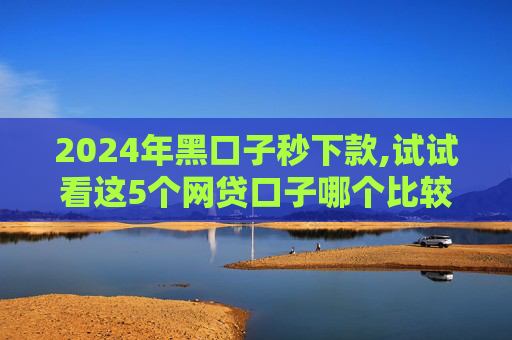 2024年黑口子秒下款,试试看这5个网贷口子哪个比较好下款  第1张