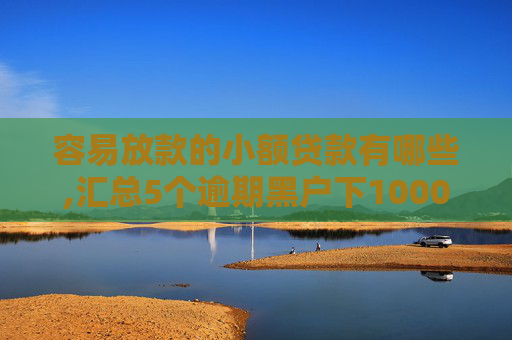 容易放款的小额贷款有哪些,汇总5个逾期黑户下1000的口子