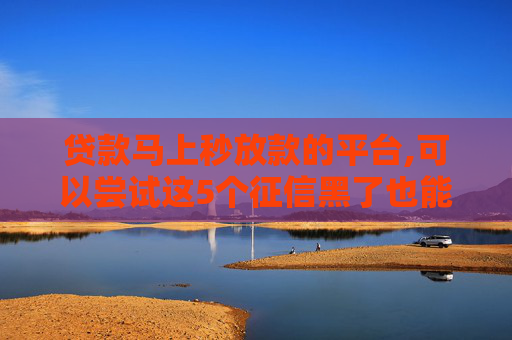 贷款马上秒放款的平台,可以尝试这5个征信黑了也能下款的贷款平台  第1张