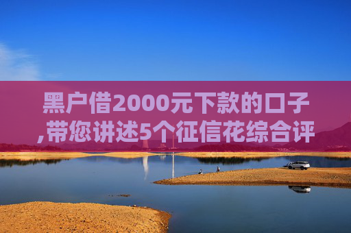 黑户借2000元下款的口子,带您讲述5个征信花综合评分不足能下款的口子  第1张
