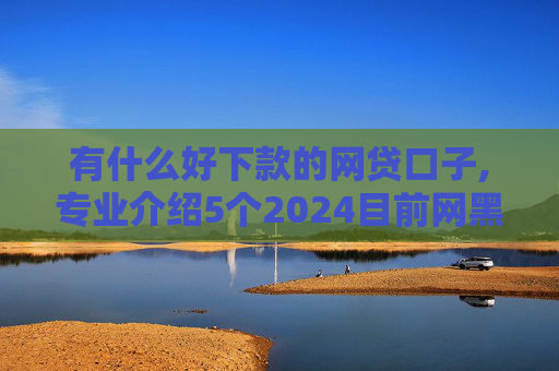 有什么好下款的网贷口子,专业介绍5个2024目前网黑能下款的口子