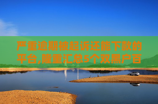 严重逾期被起诉还能下款的平台,隆重汇总5个双黑户百分百下款的口子有哪些