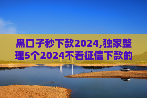 黑口子秒下款2024,独家整理5个2024不看征信下款的网贷  第1张