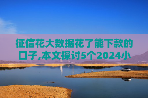 征信花大数据花了能下款的口子,本文探讨5个2024小米贷款查征信吗