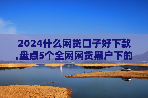 2024什么网贷口子好下款,盘点5个全网网贷黑户下的口子