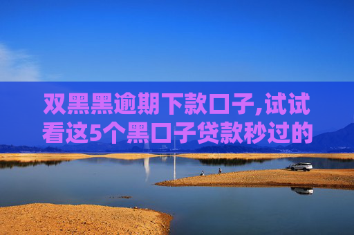 双黑黑逾期下款口子,试试看这5个黑口子贷款秒过的口子2024