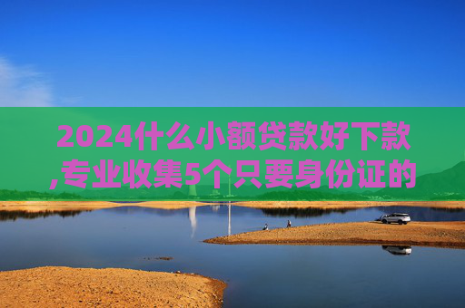 2024什么小额贷款好下款,专业收集5个只要身份证的小额贷款