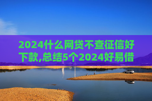 2024什么网贷不查征信好下款,总结5个2024好易借贷款上征信吗  第1张