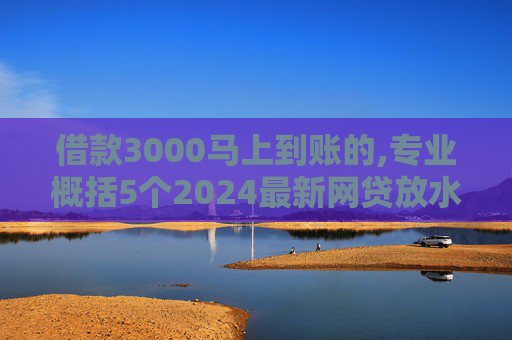 借款3000马上到账的,专业概括5个2024最新网贷放水口子有哪些  第1张