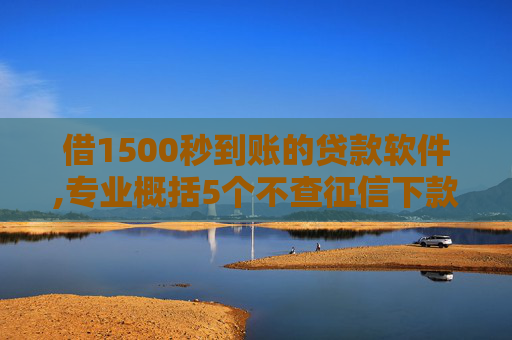 借1500秒到账的贷款软件,专业概括5个不查征信下款的网贷口子