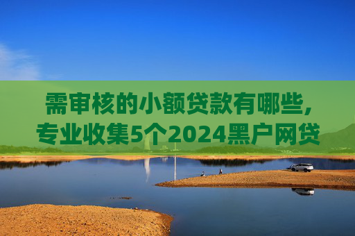需审核的小额贷款有哪些,专业收集5个2024黑户网贷下app  第1张