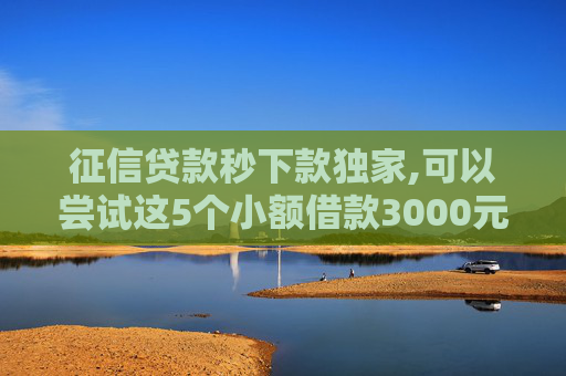 征信贷款秒下款独家,可以尝试这5个小额借款3000元马上放款
