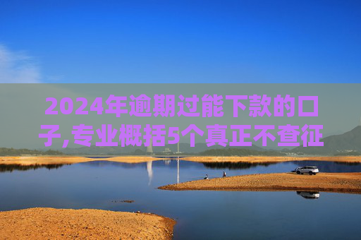 2024年逾期过能下款的口子,专业概括5个真正不查征信的贷款平台有哪些