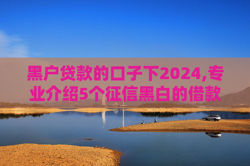 黑户贷款的口子下2024,专业介绍5个征信黑白的借款平台