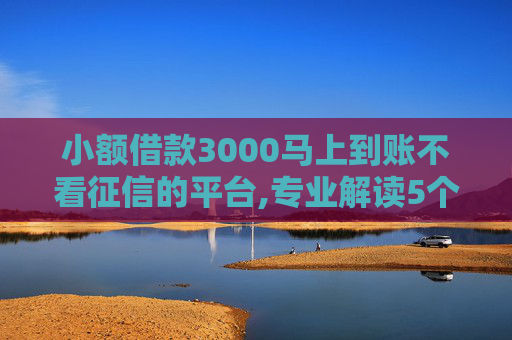 小额借款3000马上到账不看征信的平台,专业解读5个2024年不用征信就能借钱的平台  第1张