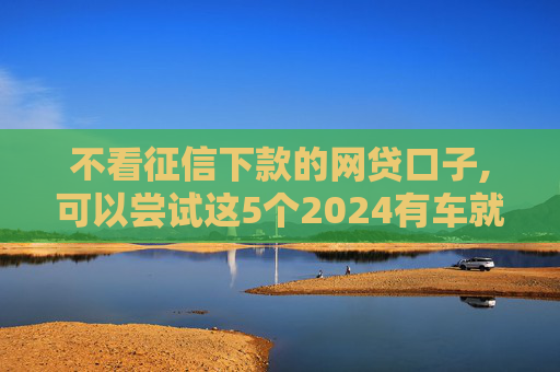不看征信下款的网贷口子,可以尝试这5个2024有车就能贷款