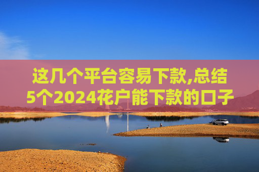 这几个平台容易下款,总结5个2024花户能下款的口子