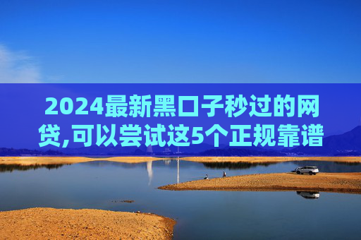 2024最新黑口子秒过的网贷,可以尝试这5个正规靠谱的小额贷款有哪些  第1张