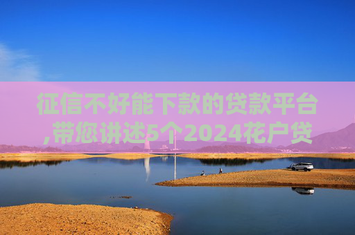 征信不好能下款的贷款平台,带您讲述5个2024花户贷款  第1张