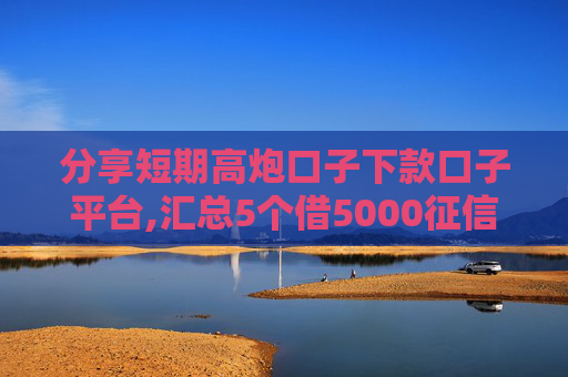 分享短期高炮口子下款口子平台,汇总5个借5000征信秒下款的平台  第1张