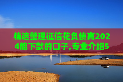 精选整理征信花负债高2024能下款的口子,专业介绍5个2024无视征信和大数据黑白的秒下小贷口子