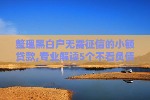 整理黑白户无需征信的小额贷款,专业解读5个不看负债和征信的贷款平台