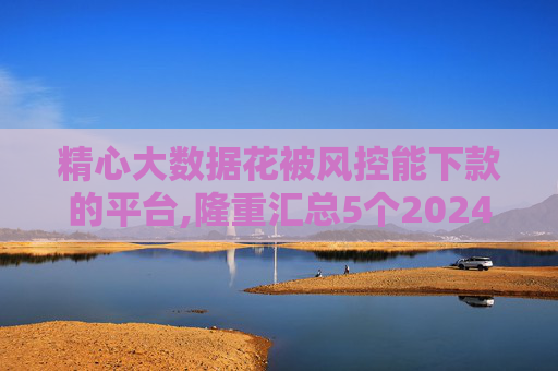 精心大数据花被风控能下款的平台,隆重汇总5个2024哪个软件好借钱