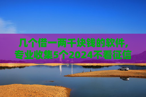 几个借一两千块钱的软件,专业收集5个2024不看征信的贷款平台一定能下款名单推荐  第1张