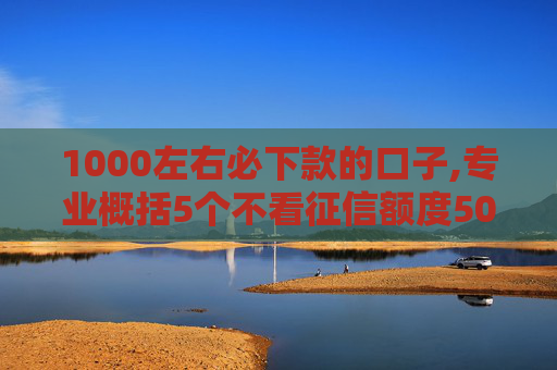 1000左右必下款的口子,专业概括5个不看征信额度5000的小额贷款  第1张