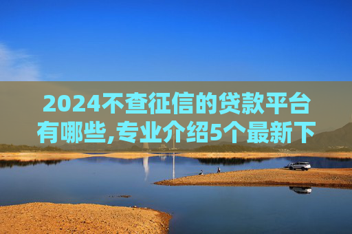 2024不查征信的贷款平台有哪些,专业介绍5个最新下款的网贷口子2024有哪些
