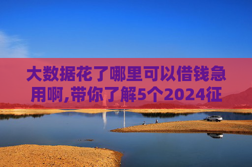 大数据花了哪里可以借钱急用啊,带你了解5个2024征信逾期也能下款的口子有哪些