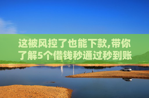 这被风控了也能下款,带你了解5个借钱秒通过秒到账的平台